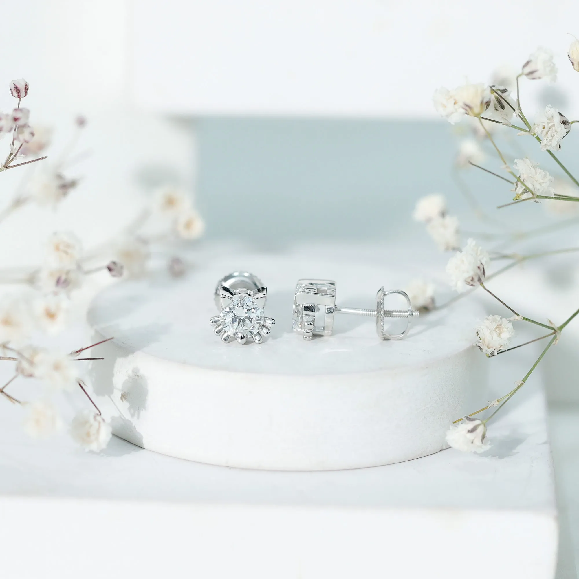 Cute Cat Solitaire Stud Earrings with Lab Grown Diamond