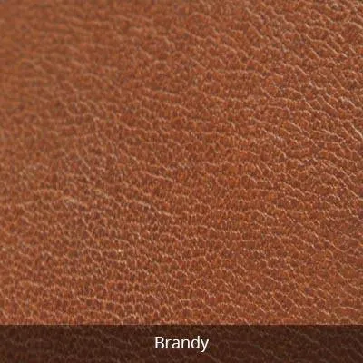 Osgoode Marley Small Organizer Backpack